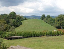 Colonial Acres Nursery Land